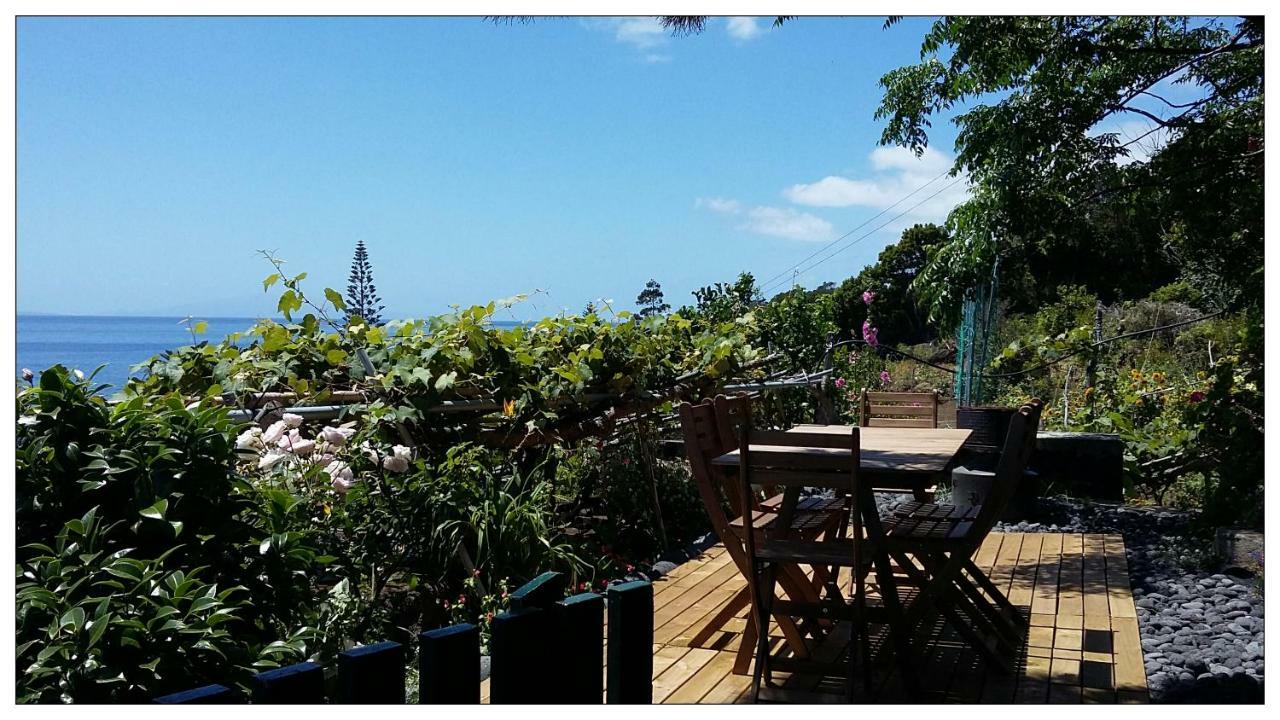 Casa Do Ze - Al Guest House Manadas Ngoại thất bức ảnh